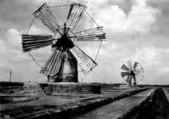 ���� ������ ��� ��� ����